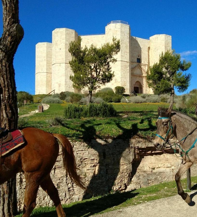 בארלטה Casa Vacanza Dei Greci מראה חיצוני תמונה